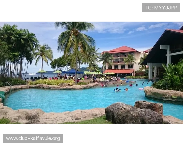 凯发正规会员登录流程详解，轻松注册登录无忧，开启精彩游戏之旅