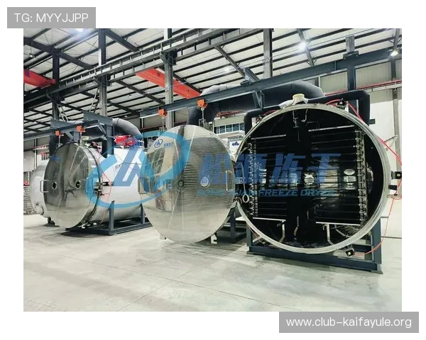 分析K8凯发集团的财务表现与未来增长潜力